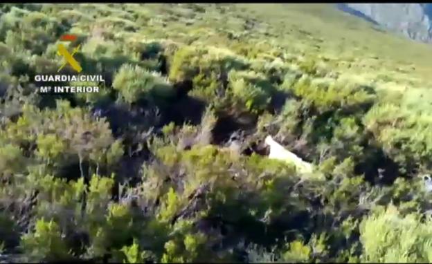 Localizan el cadáver de un montañero desaparecido en noviembre en la Sierra de Ayllón